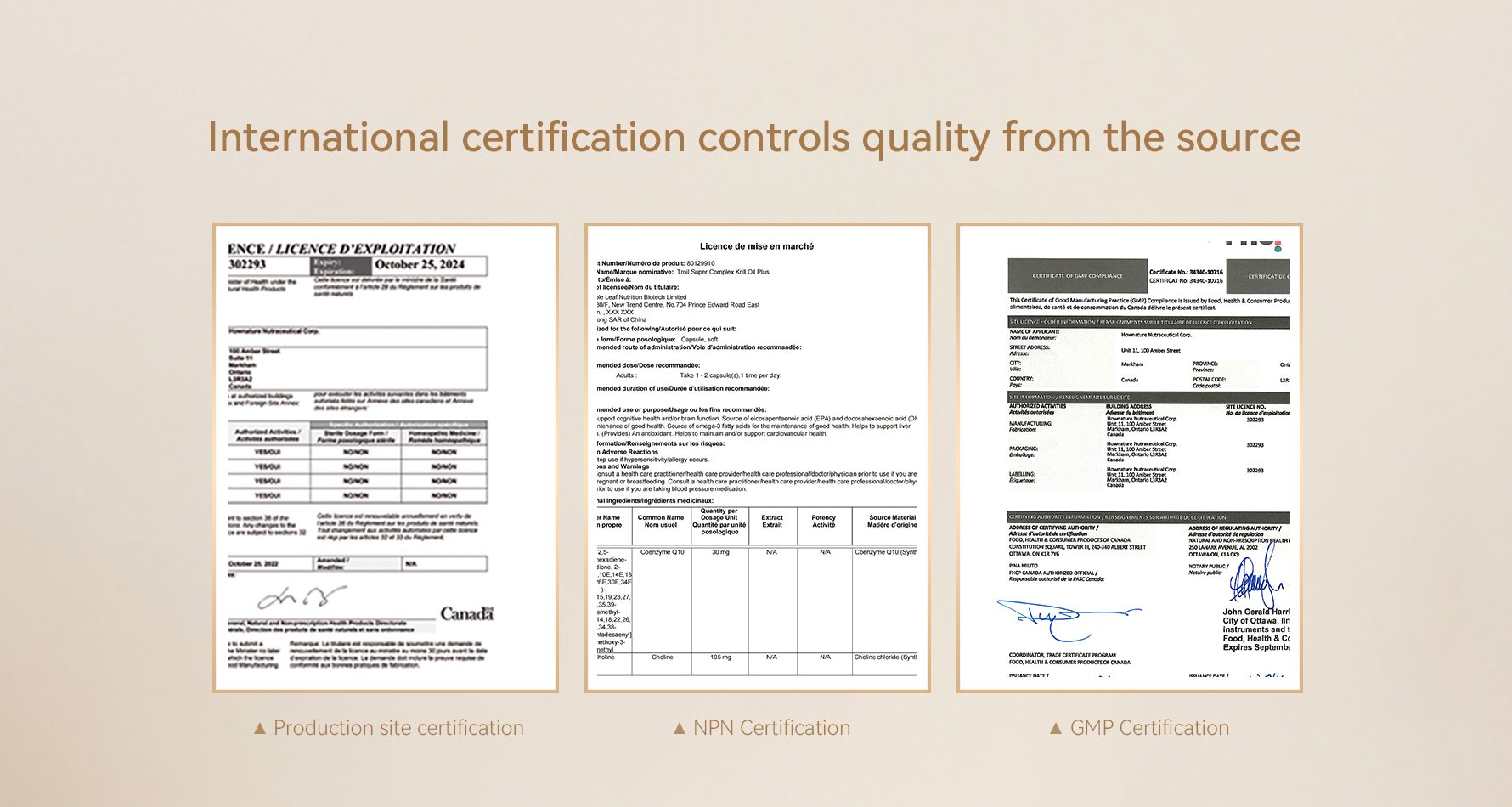 Certification Background